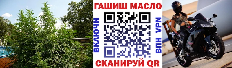 OMG маркетплейс  Верхняя Салда  ТГК вейп 
